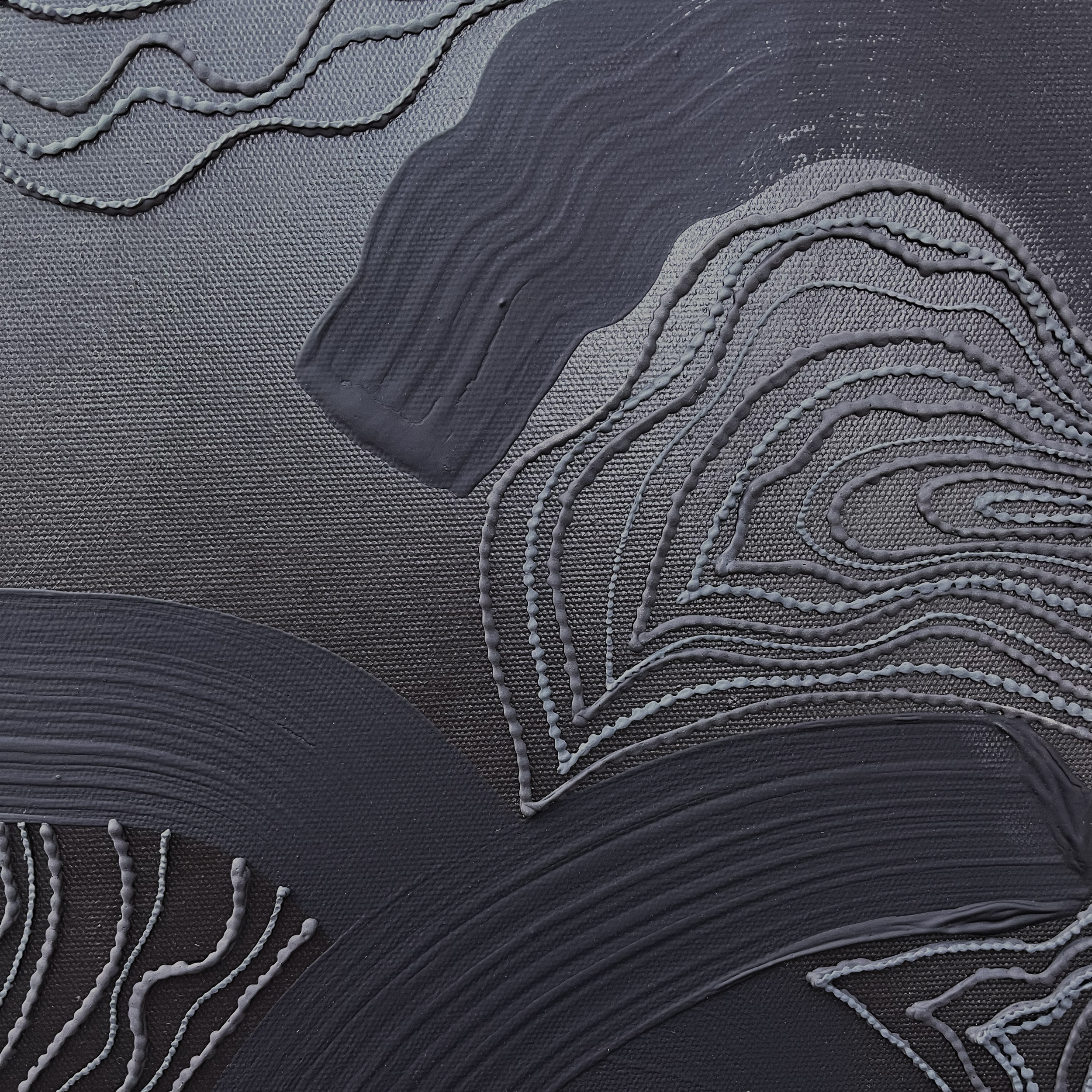 black shadow 1